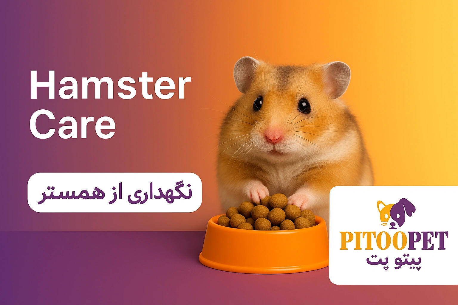 غذای همستر بالغ پیتوپت | Adult Hamster Food – PitooPet
